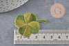 Ecusson brodé à repasser trèfle à 4 feuilles chance 47.5mm, x1 (G11084)