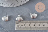 304 stainless steel silver-plated shell charm 14mm, x1