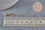 Collier chaine réglable forçat acier 304 inoxydable doré IP 2mm/51cm, x1 (G11257)