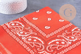 Bandana motif Cachemire Polyester 55cm, x1 (G10691)