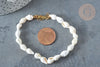 Bracelet Coquillages naturels blancs laiton doré 19.5cm x1 (G7803)