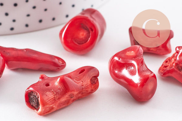 Branche corail naturel rouge foncé percée 25-70mm, x1 (G2667)