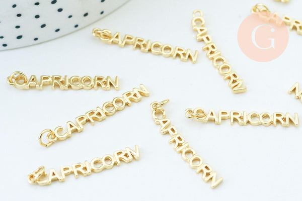 Breloque Capricorne laiton doré 18k cristal,sans nickel,création bijoux astrologique, pendentif horoscope,31mm, x1 (G6054)