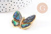Broche Papillon Nacre noire abalone laiton doré zircons 36mm, x1 (G10164)