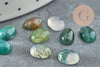 Cabochon ovale agate mousse naturelle 8x6mm, x1 (G0413)