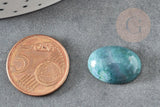 Cabochon ovale agate mousse vert foncé naturel 18x13mm, x1 (G8221)