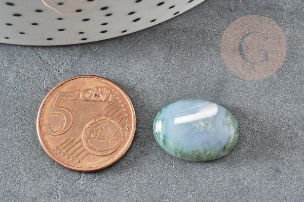 Cabochon ovale agate mousse verte naturelle 18 x 13mm, x1 (G2593)