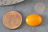 Cabochon ovale jade naturel jaune 18x13mm, x1 (G0379)