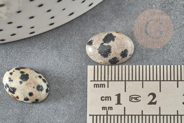 Cabochon ovale jaspe dalmatien naturel 10x14mm, x1 (G1568)