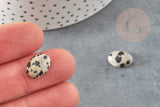 Cabochon ovale jaspe dalmatien naturel 10x14mm, x1 (G1568)