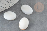 Cabochon ovale nacre blanche naturelle 16mm, x1 (G1964)