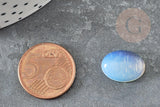 Cabochon ovale opalite ovale 16x12mm, x1 (G8539)
