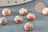 Cabochon rond jaspe marbré naturel 8mm, x1 (G2231)