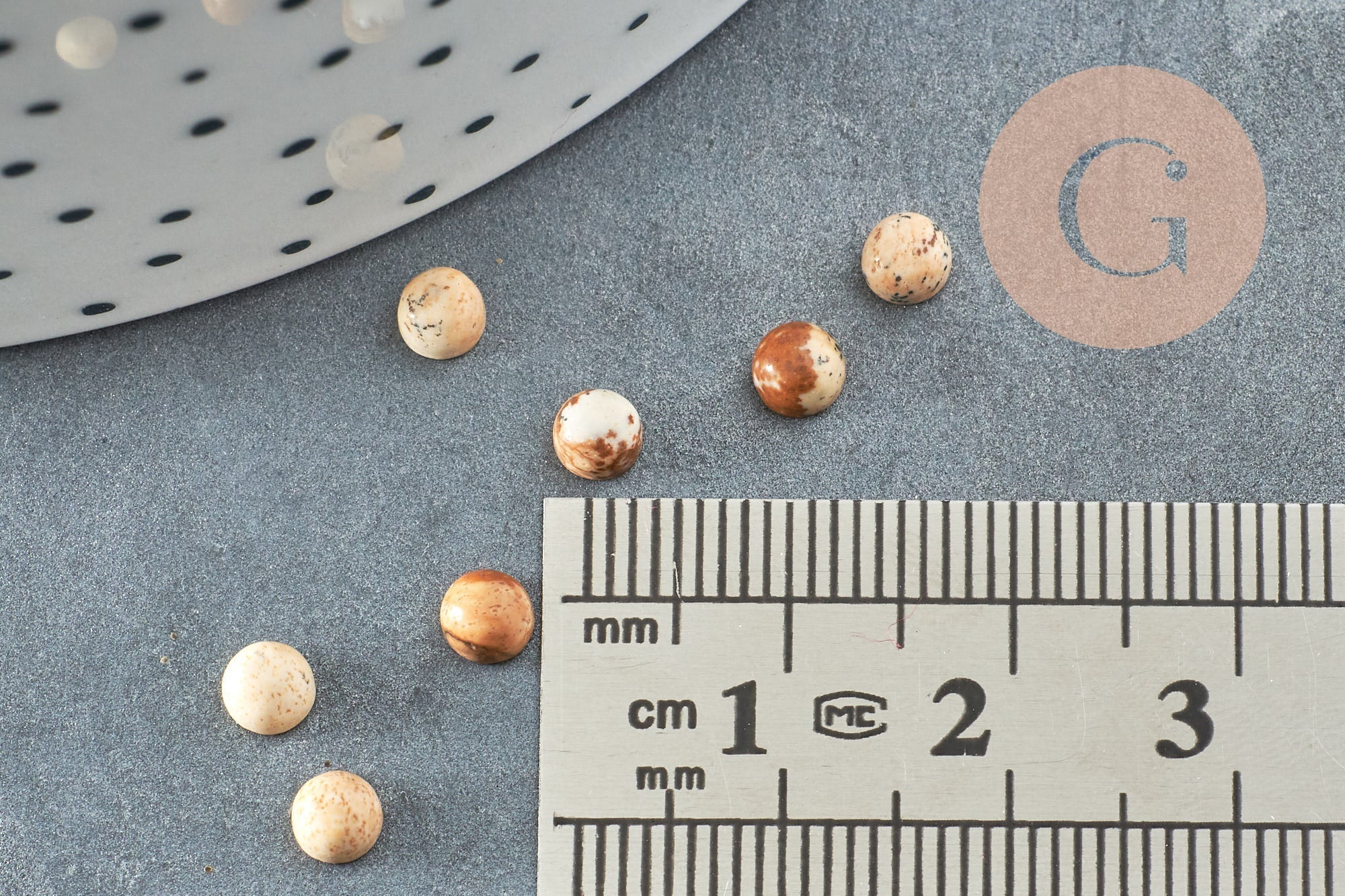 Cabochon rond jaspe paysage naturel 4mm, x1 (G2727)