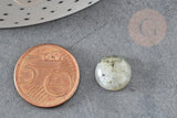 Cabochon rond labradorite naturelle 12mm, x1 (G1015)