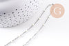 Collier Chaine avec fermoir acier inoxydable platine résine blanche 2mm-40.5cm, x1 (G10529)