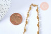 Chaine complète acier dorée 14k feuille,chaine collier,sans nickel,acier doré, chaine complète,44.5m, x1 G0631