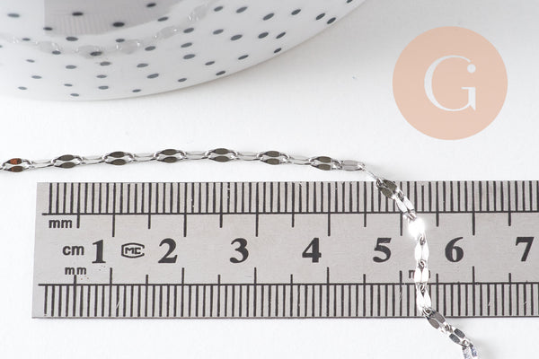 Chaine complète avec fermoir acier inoxydable platine 45cm, x1 (G6566)