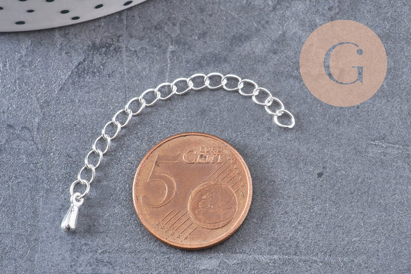 Chaine extension acier inoxydable argenté avec breloque de finition 57-60mm, x1 (G10888)