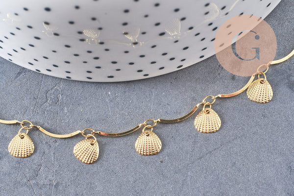 Chaine laiton doré 18 carats coquillages, chaine dorée fantaisie ,15x2mm, x1 mètre (G5355)