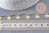 Chaine laiton doré 18 carats coquillages, chaine dorée fantaisie ,15x2mm, x1 mètre (G5355)