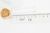 Cloche tube verre et bouchon en liège 30x60mm-G0207