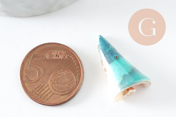 Coquillage bleu naturel spirale Conch perce 27mm, x5 (G0449)