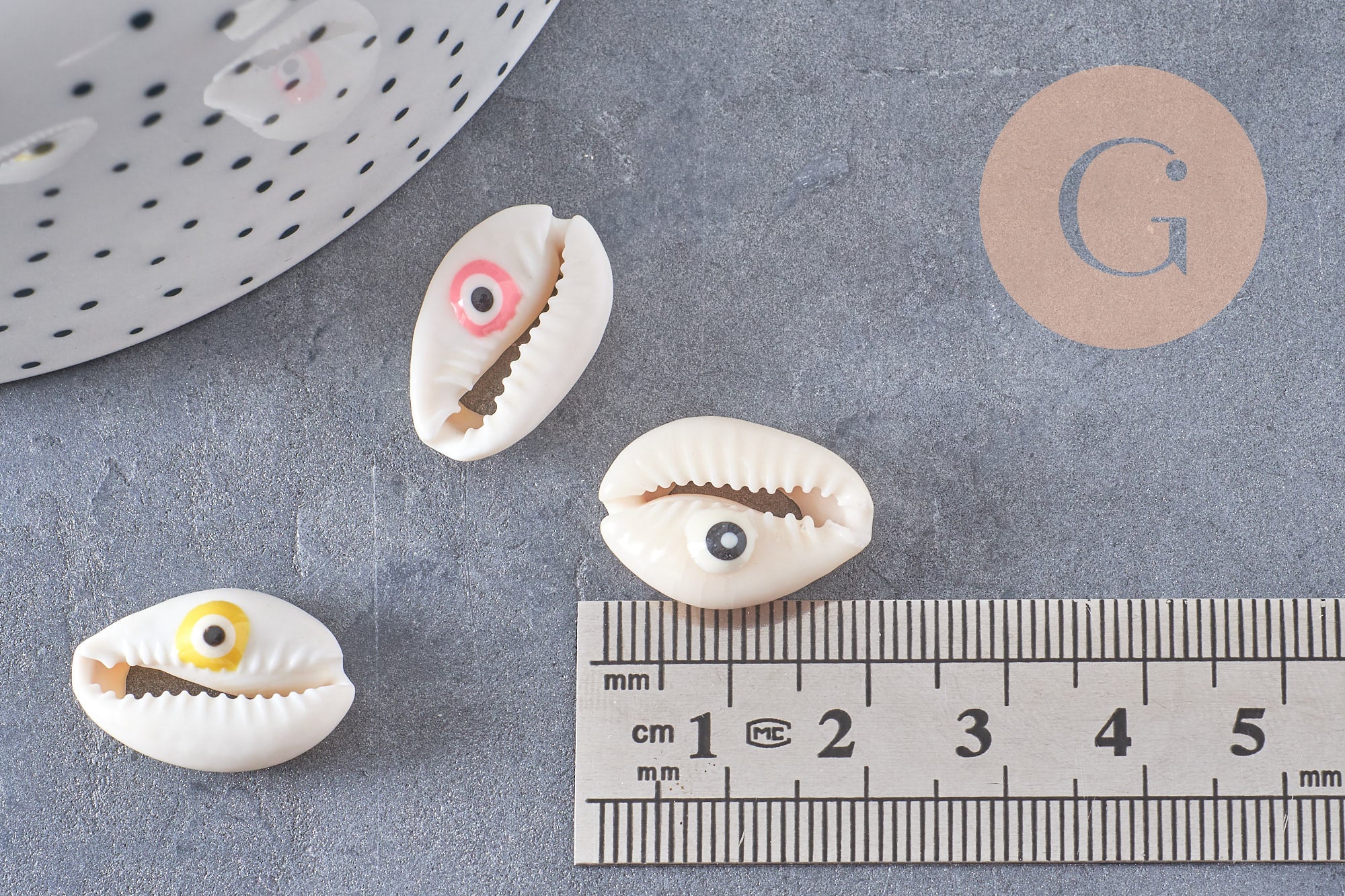 Coquillage cauris ouvert oeil chance 18-22mm,x10 (G2058)