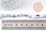 Coquillages percés gris naturels, x1 fil de 130cm (G0801)