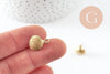 EP-Boucles puce coquillage laiton brut 12x16mm, x2 (G4879)
