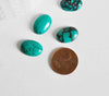 EP Cabochon howlite turquoise 12 x17mm,pierre naturelle, cabochon ovale -G161