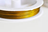 EP Fil nylon 2m métallique acier doré 0,6mm G3791