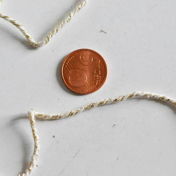 EP NE PAS RENOUVELER Cordon blanc or, fabrication bijoux, création bijoux,ruban mariage,fourniture créative, scrapbooking, largeur 2.5mm, longueur 5 mètres-G1164