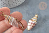 EP Pendentif coquillage marron spirale doré 30-50mm, Pendentif coquillage pour création bijoux x1 (G9256)