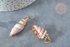 EP Pendentif coquillage marron spirale doré 30-50mm, Pendentif coquillage pour création bijoux x1 (G9256)