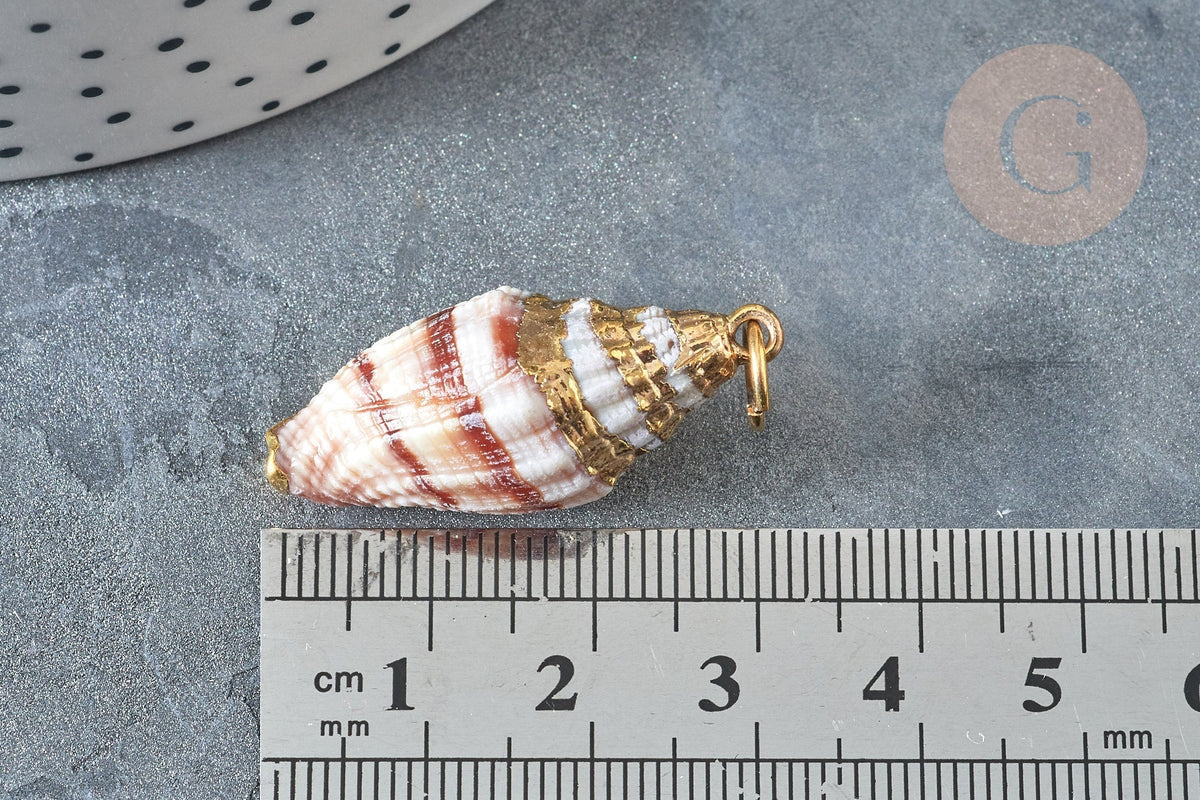 EP Pendentif coquillage marron spirale doré 30-50mm, Pendentif coquillage pour création bijoux x1 (G9256)