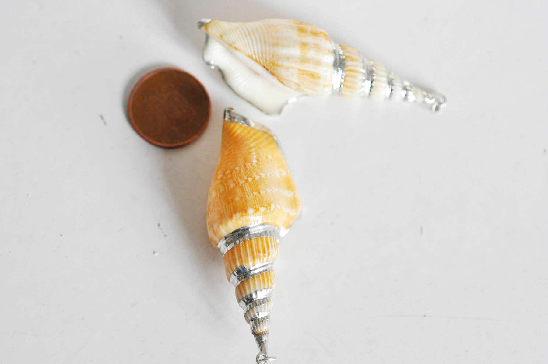 EP -Pendentif coquillage naturel argenté, pendentif argent création bijoux, coquillage Conch bijou,coquillage naturel,58mm, x1,G1498