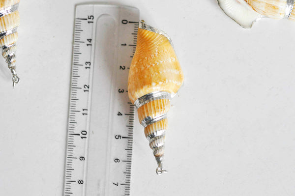 EP -Pendentif coquillage naturel argenté, pendentif argent création bijoux, coquillage Conch bijou,coquillage naturel,58mm, x1,G1498