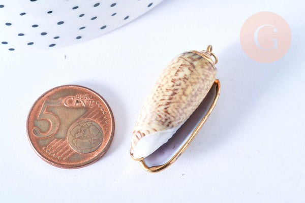 EP-Pendentif coquillage naturel spirale beige doré 31-36.5mm, pendentif création bijoux coquillage, x1 G7162