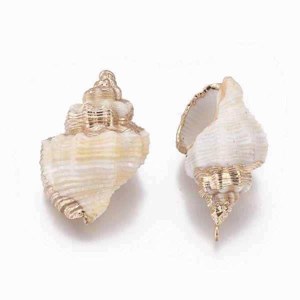 EP Pendentif coquillage naturel spirale doré 29-36mm x1 (G2391)