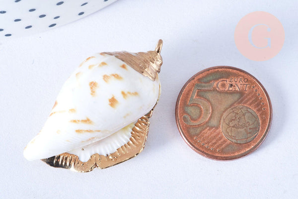 EP Pendentif coquillage naturel spirale doré 33-47mm, pendentif création bijoux coquillage, x1 G7161