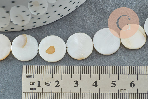 EP-Perle disque nacre blanche naturelle 15mm, x1 fil de 38cm (G2730)