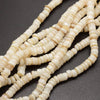 EP Perles coquillage beige nacre fil 145 perles - G531