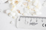 EP Sable coquillage nacre naturelle 7.5-13mm non percé, Sachet 20 grammes G0256