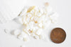 EP Sable coquillage nacre naturelle 7.5-13mm non percé, Sachet 20 grammes G0256