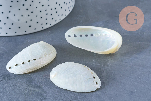 EP coquillage naturel blanc nacré HALIOTIS ASININA 50-70mm, bijou coquillage naturel, x1 (G4163)