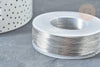 Fil d'acier inoxydable platine argenté 0.3mm, x1 Mètre (G8096)