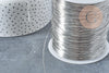 Fil d'acier 304 inoxydable platine argenté 0.4mm, x1 mètre (G8847)