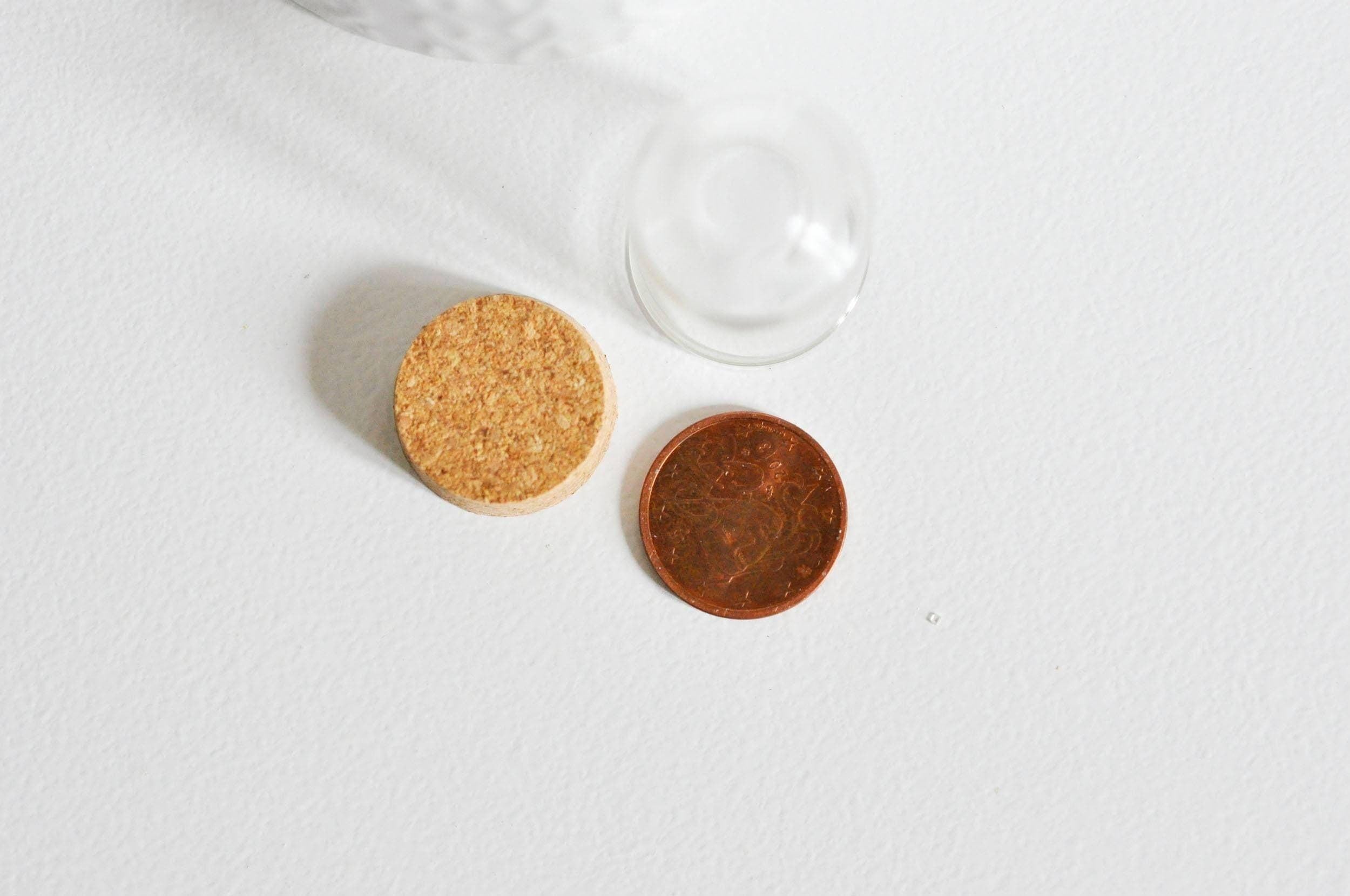 Mini cloche en verre et support en liège 44.5mm, x1 (G1687)