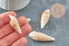 Pendentif Coquillage naturel spirale Conch 47mm, x5 (G1658)